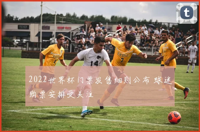 2022世界杯门票发售细则公布 球迷购票安排受关注