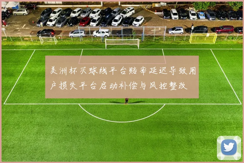 美洲杯买球线平台赔率延迟导致用户损失平台启动补偿与风控整改