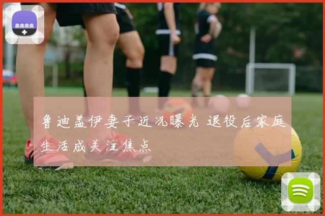 鲁迪盖伊妻子近况曝光 退役后家庭生活成关注焦点