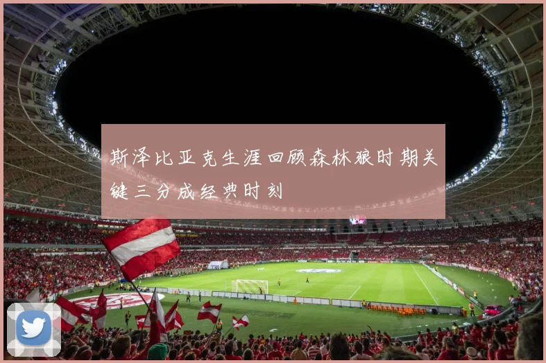 斯泽比亚克生涯回顾森林狼时期关键三分成经典时刻