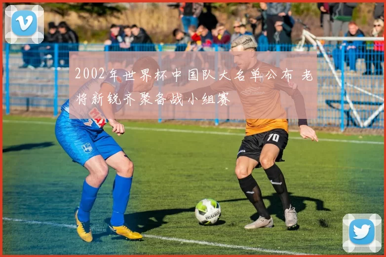2002年世界杯中国队大名单公布 老将新锐齐聚备战小组赛
