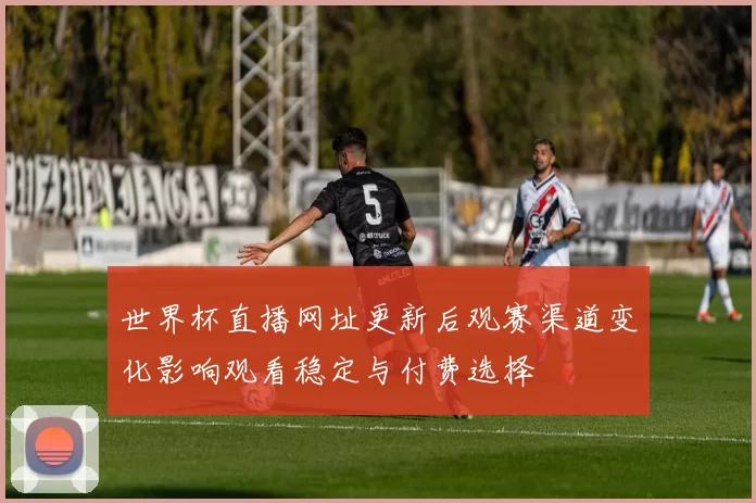 世界杯直播网址更新后观赛渠道变化影响观看稳定与付费选择