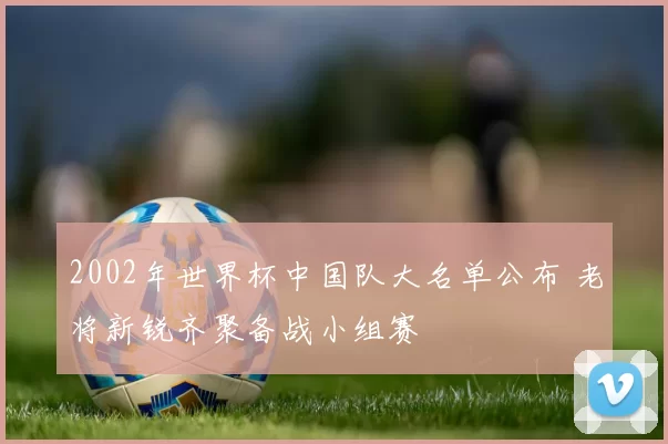 2002年世界杯中国队大名单公布 老将新锐齐聚备战小组赛